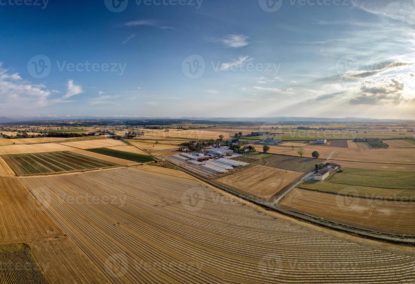 sunflower fields aerial view landscape with drone photo