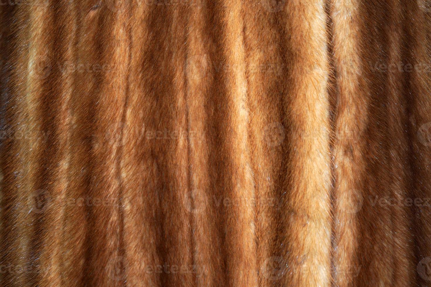animal fur clothes detail photo
