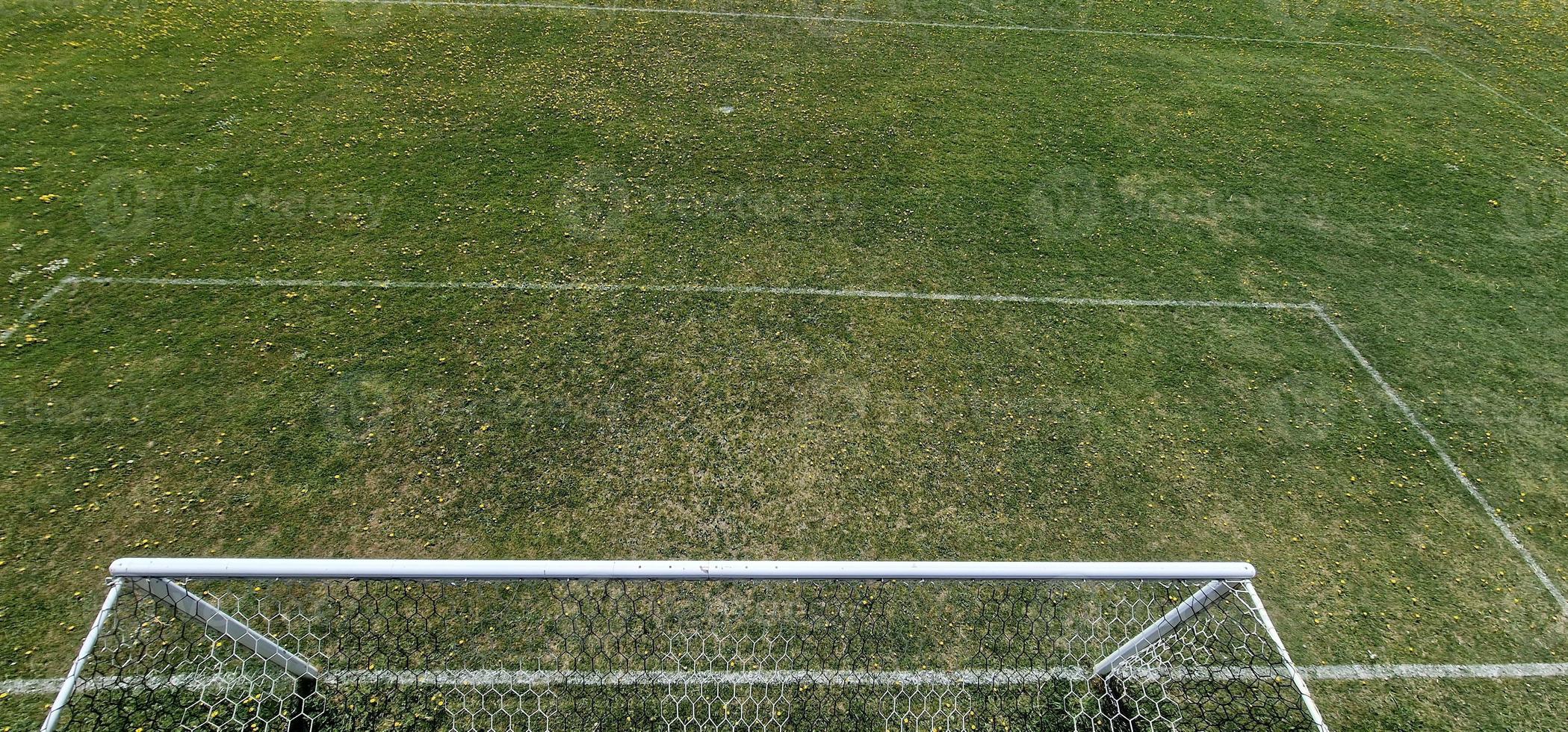 campo de fútbol de campo hierba verde con flores amarillas foto