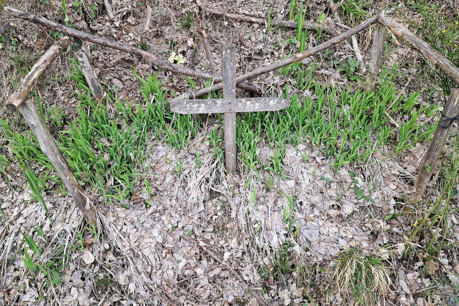 old tomb wood cross in a field photo