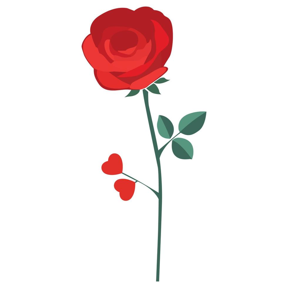 Rose which can easily edit or modify vector