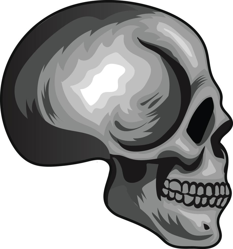 Skull vintage style. Vector illustration.