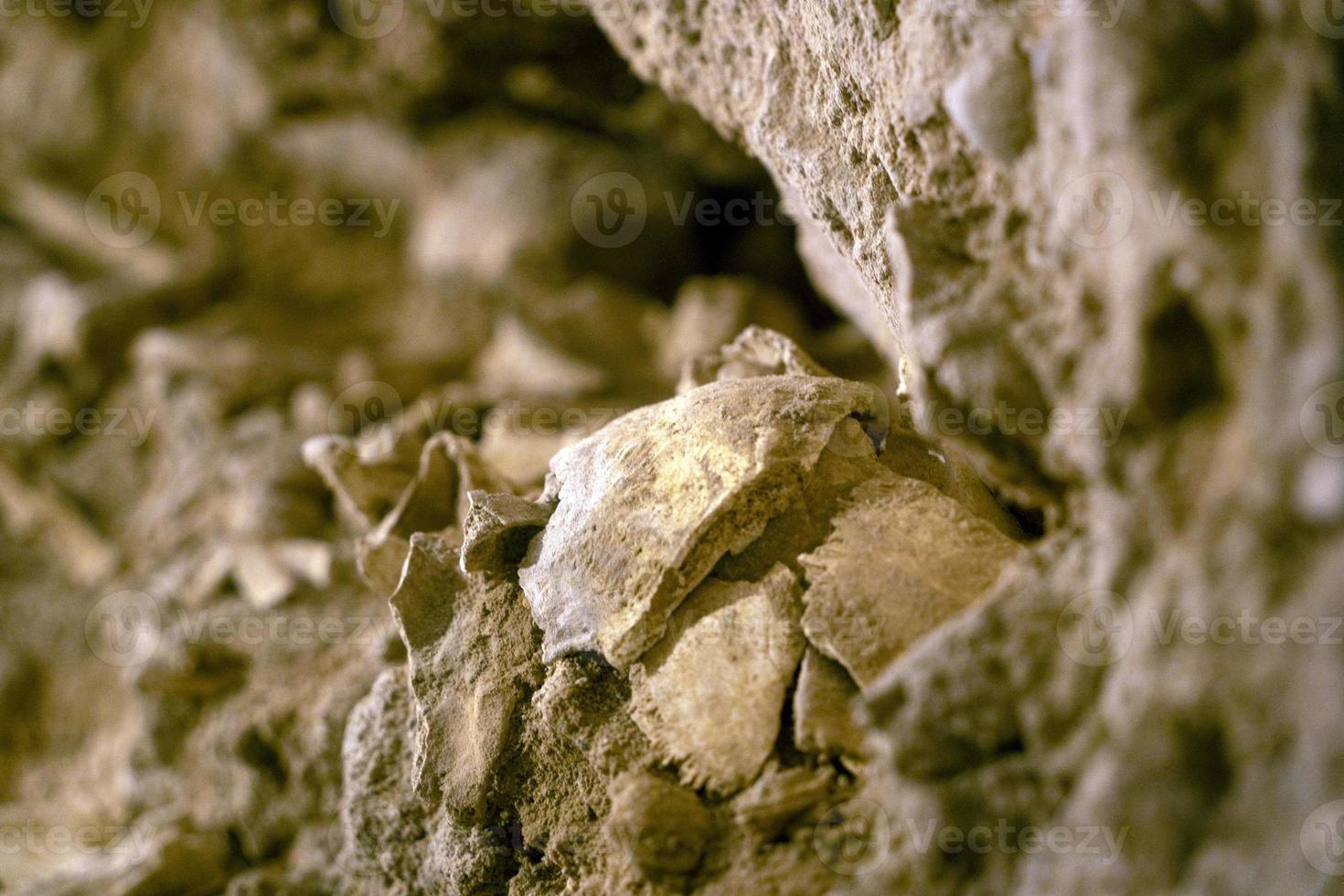 human skull and bones in a crypt tomb photo