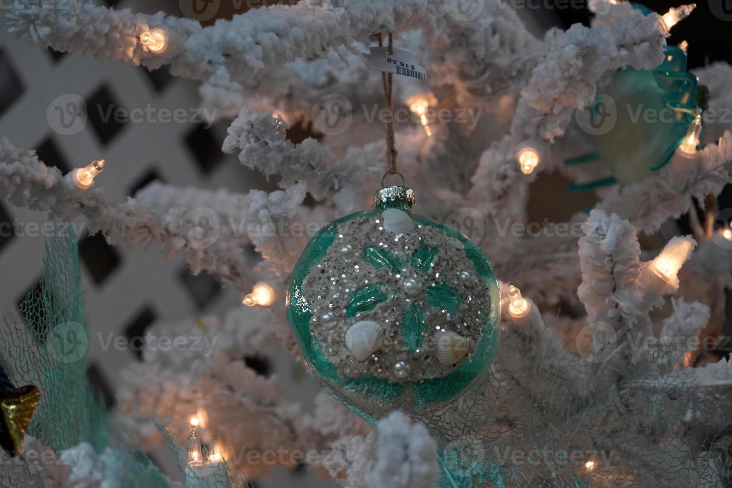christmas tree shell and marine life for sale in a shop photo