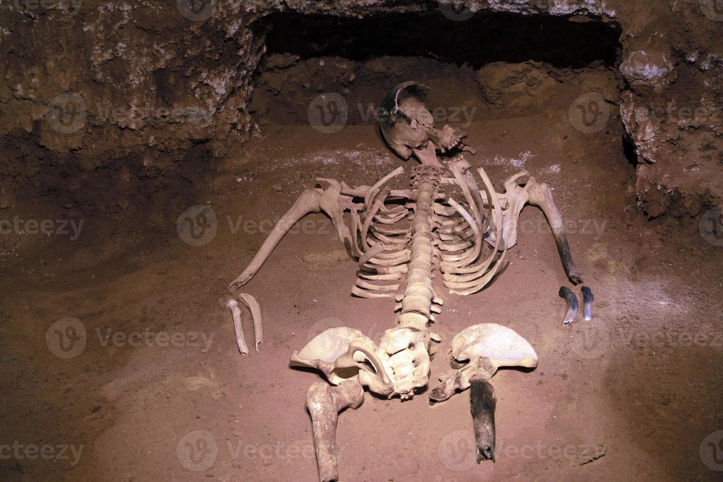 Human skeleton sjull and bones in a tomb photo