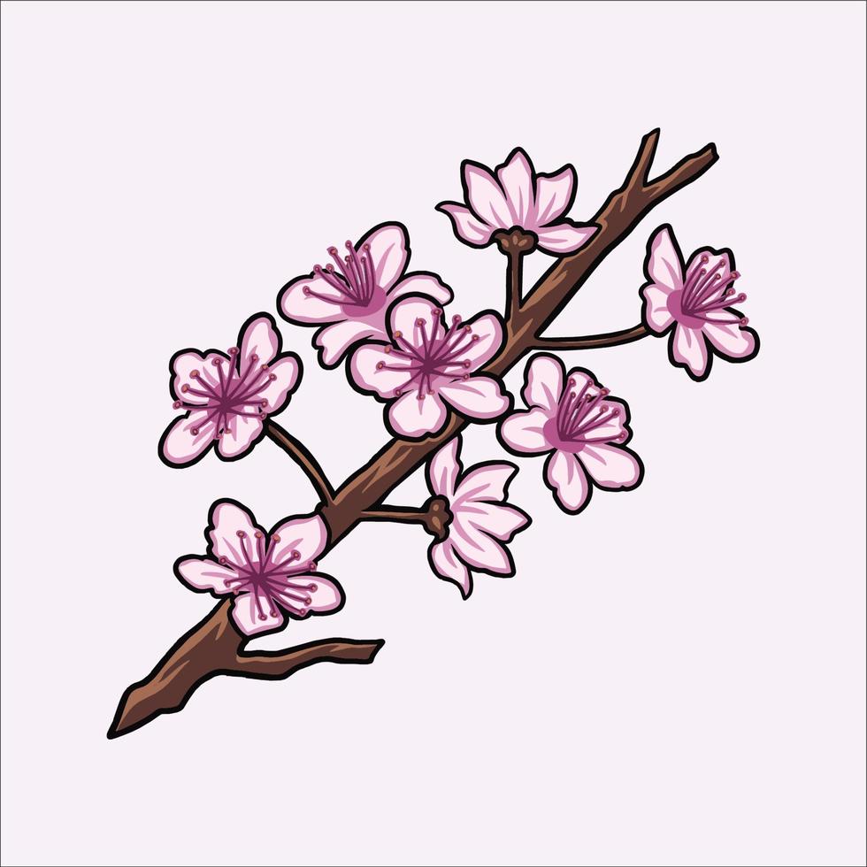 vector de flor de cerezo