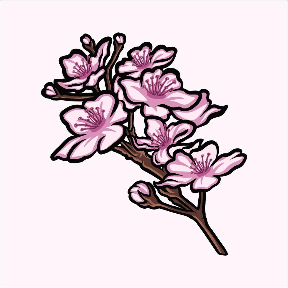 cherry blossom vector