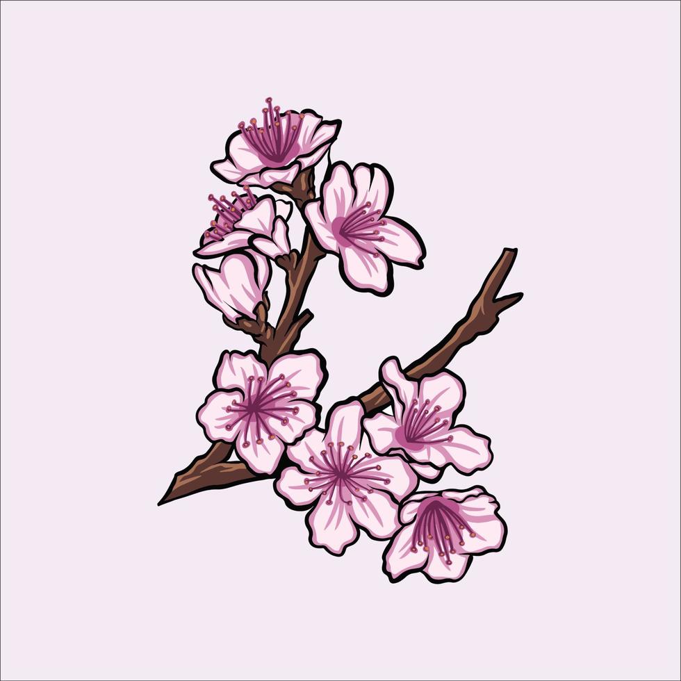 cherry blossom vector