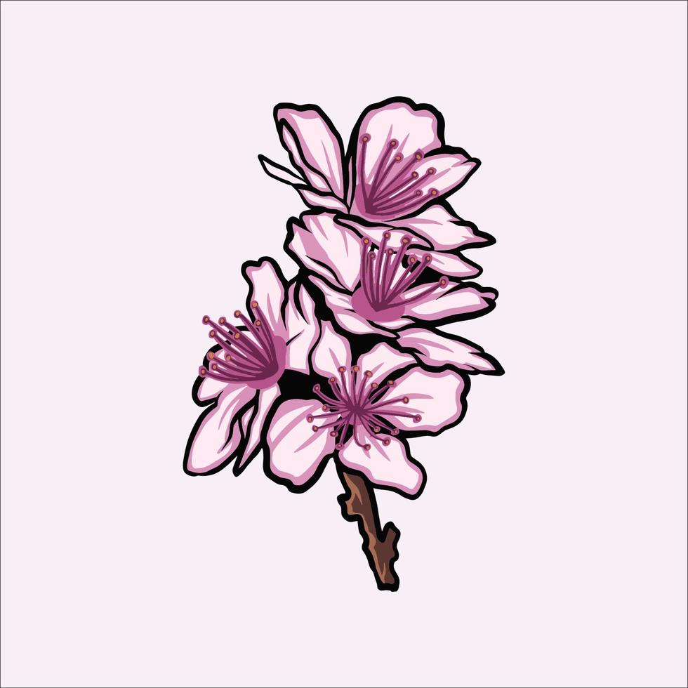 cherry blossom vector