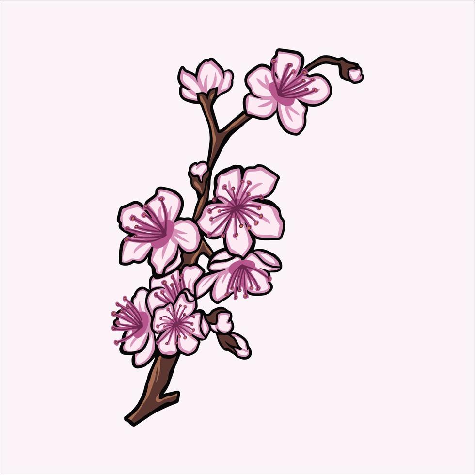 cherry blossom vector