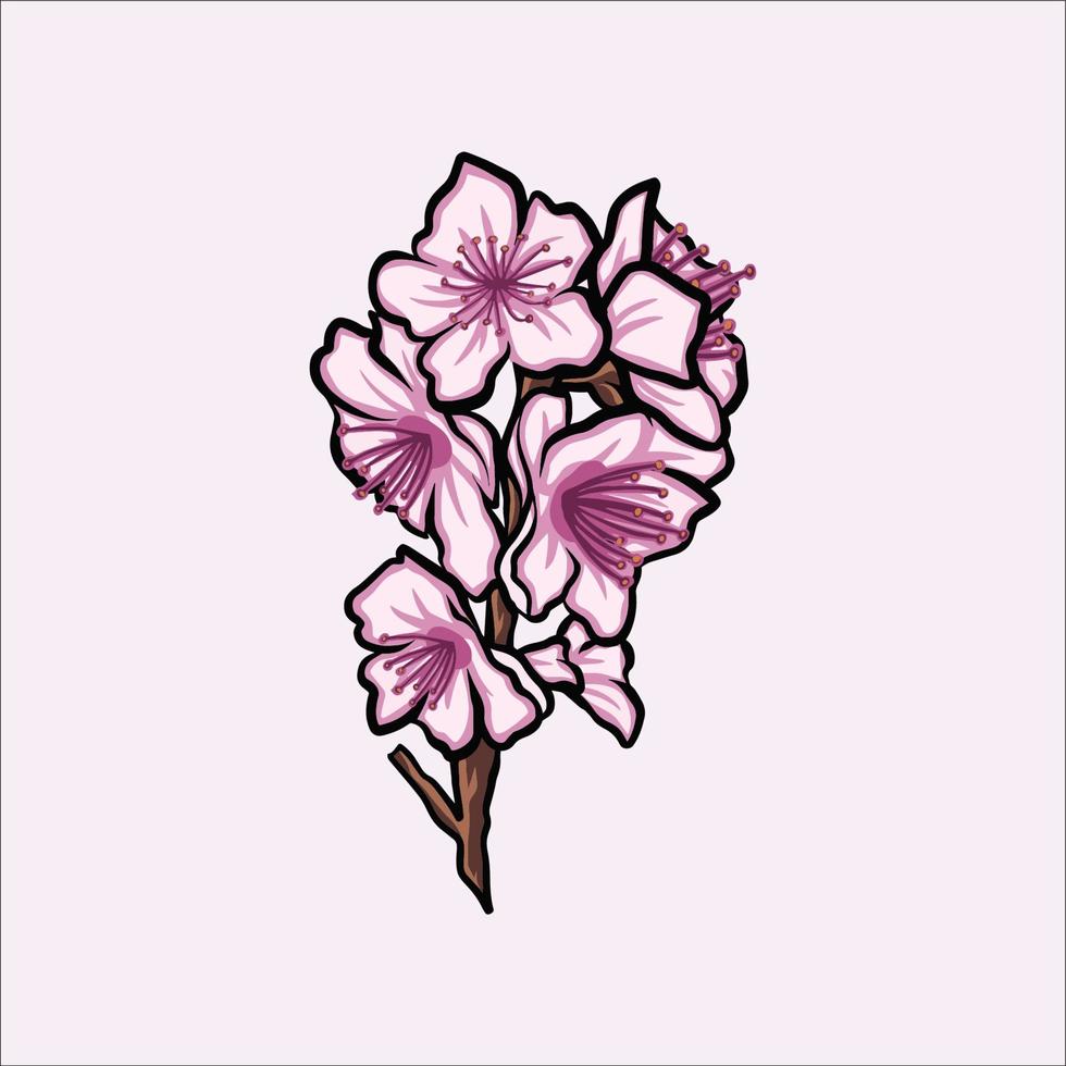 cherry blossom vector