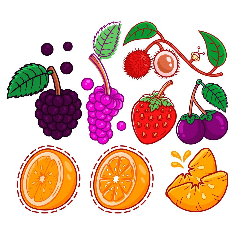 elemento de fruta bandle adecuado para elementos de diseño de publicaciones en redes sociales, etc. vector