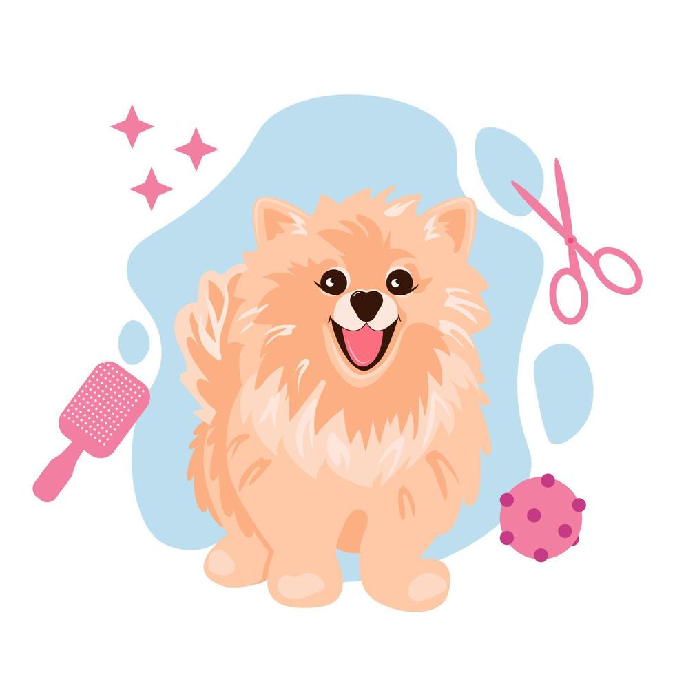 A cute cream spitz dog sitting and smiling. Grooming salon concept. Vector EPS10