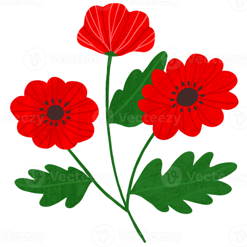 fleur qui fleurit au printemps clipart. png