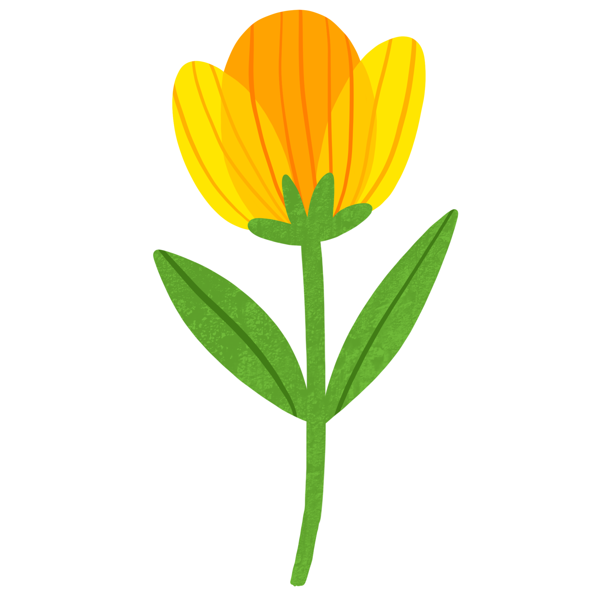 Flower blooming in the spring season clipart. 18746260 PNG