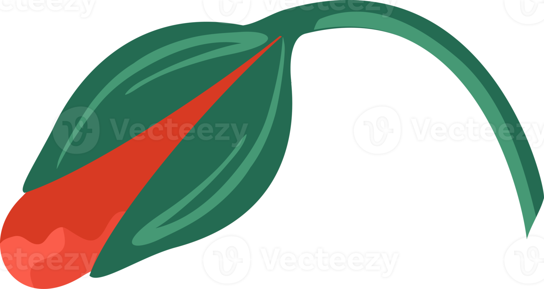 Red flower. Illustration png