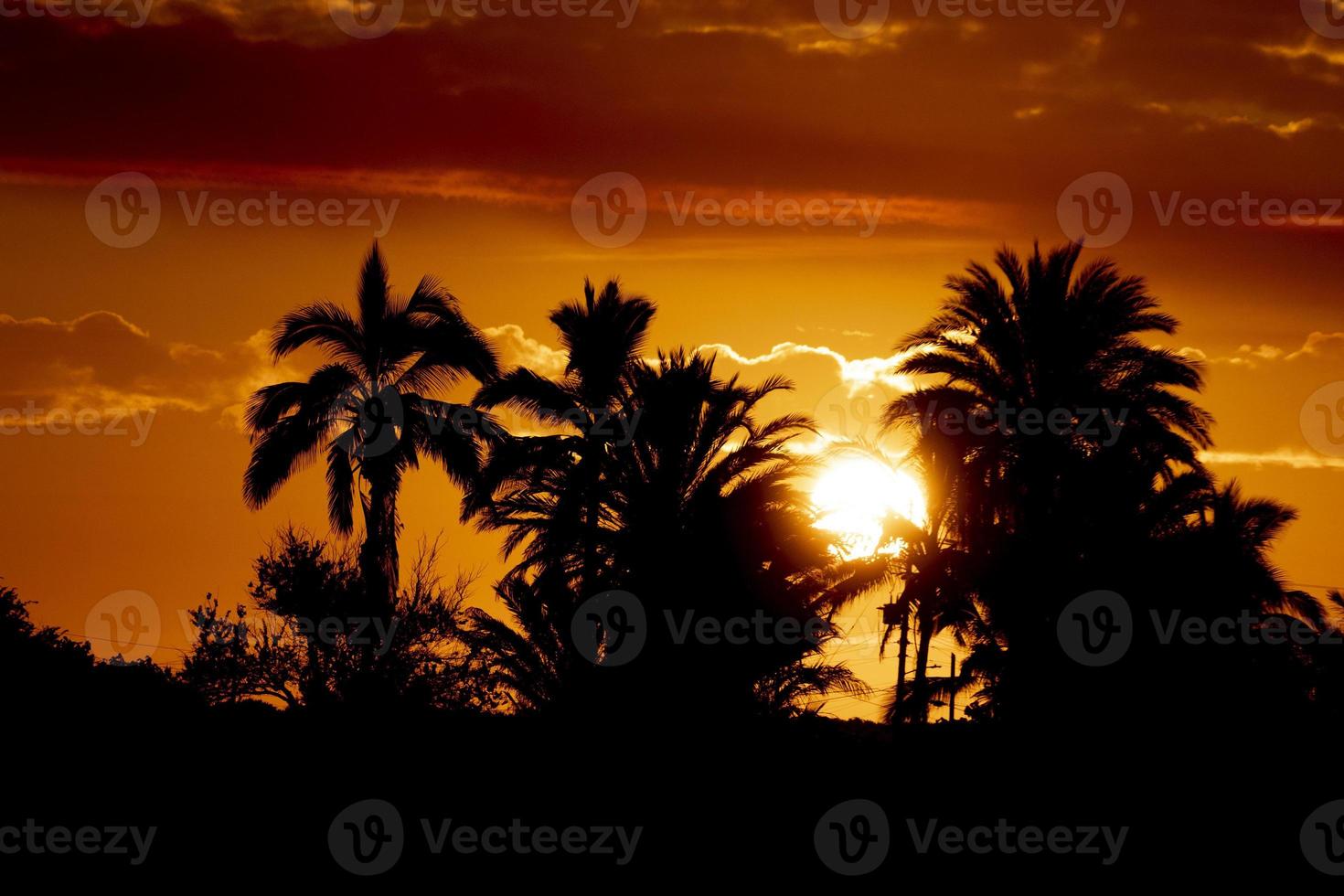 Puerto San Carlos Baja California Sur Mexico at sunrise photo