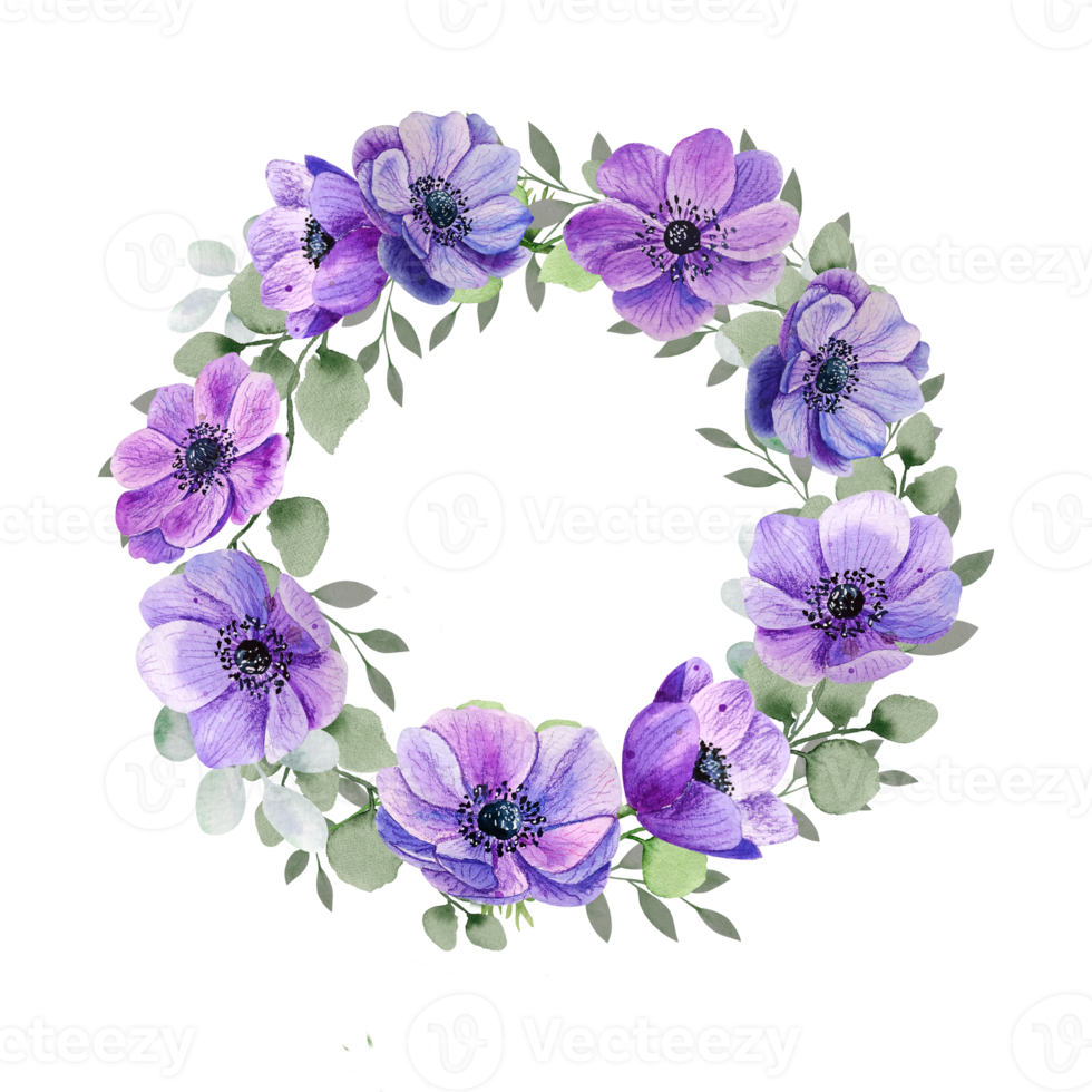 Watercolor anemone wreath png