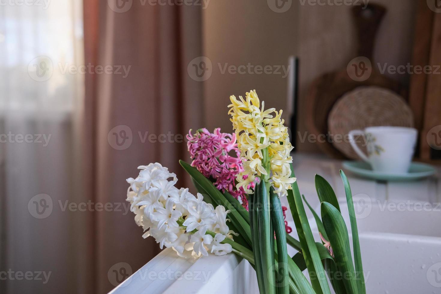 Colorful hyacinths in the kitchen sink photo