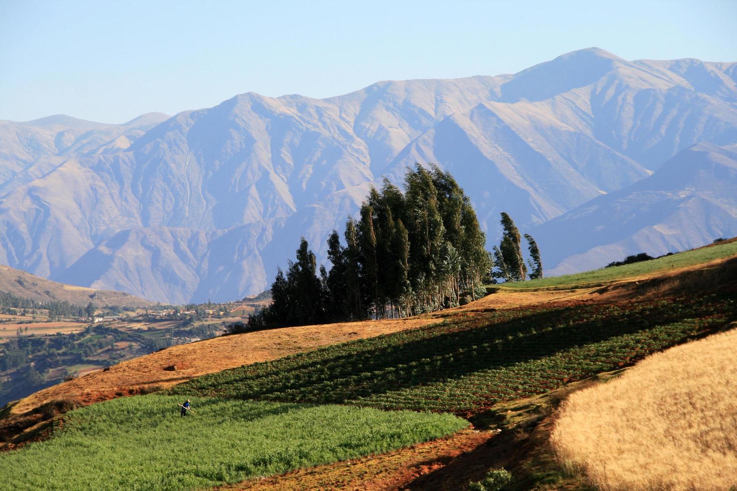 fields in the mountains photo