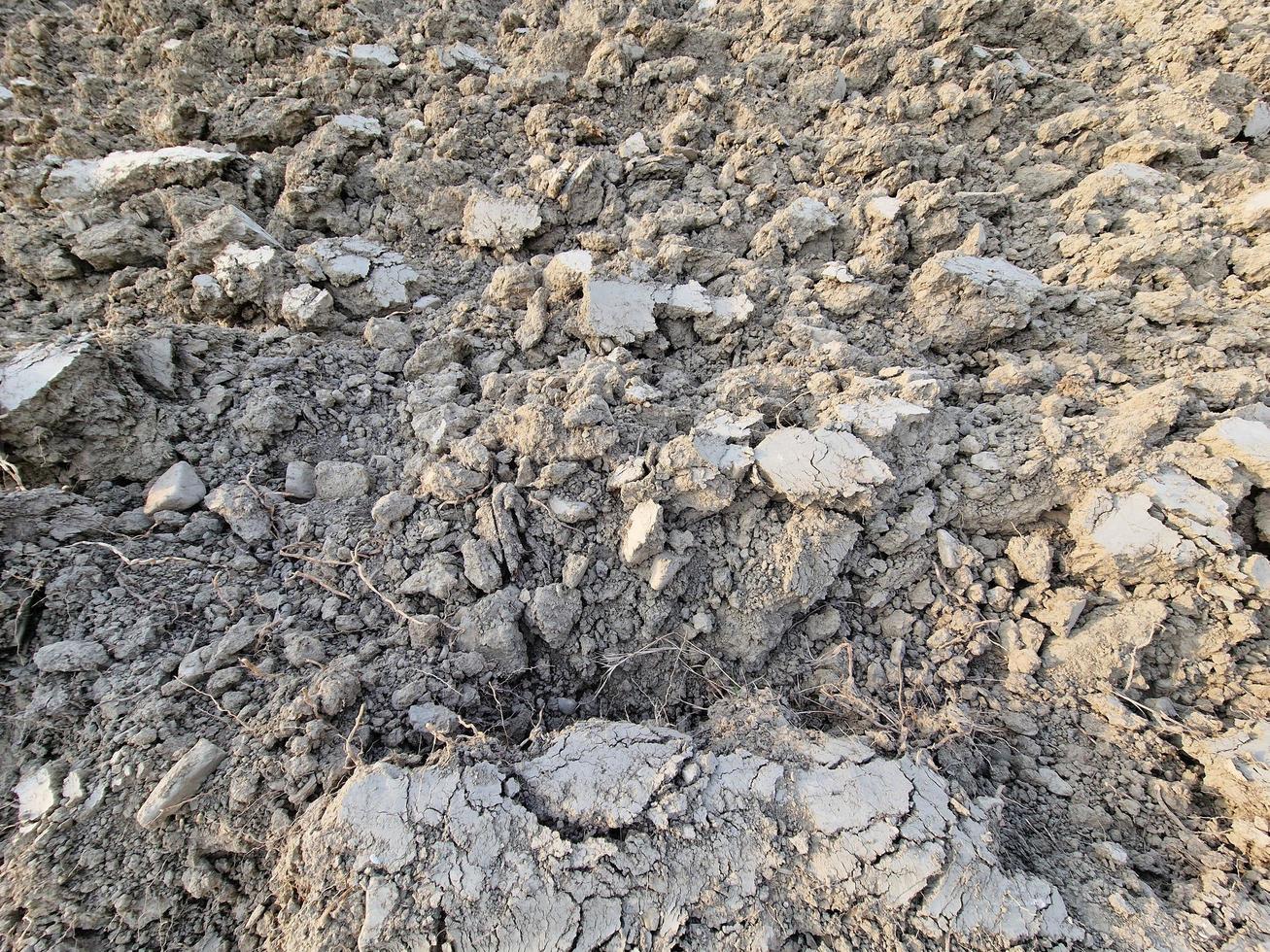 dry soil in the farming field photo