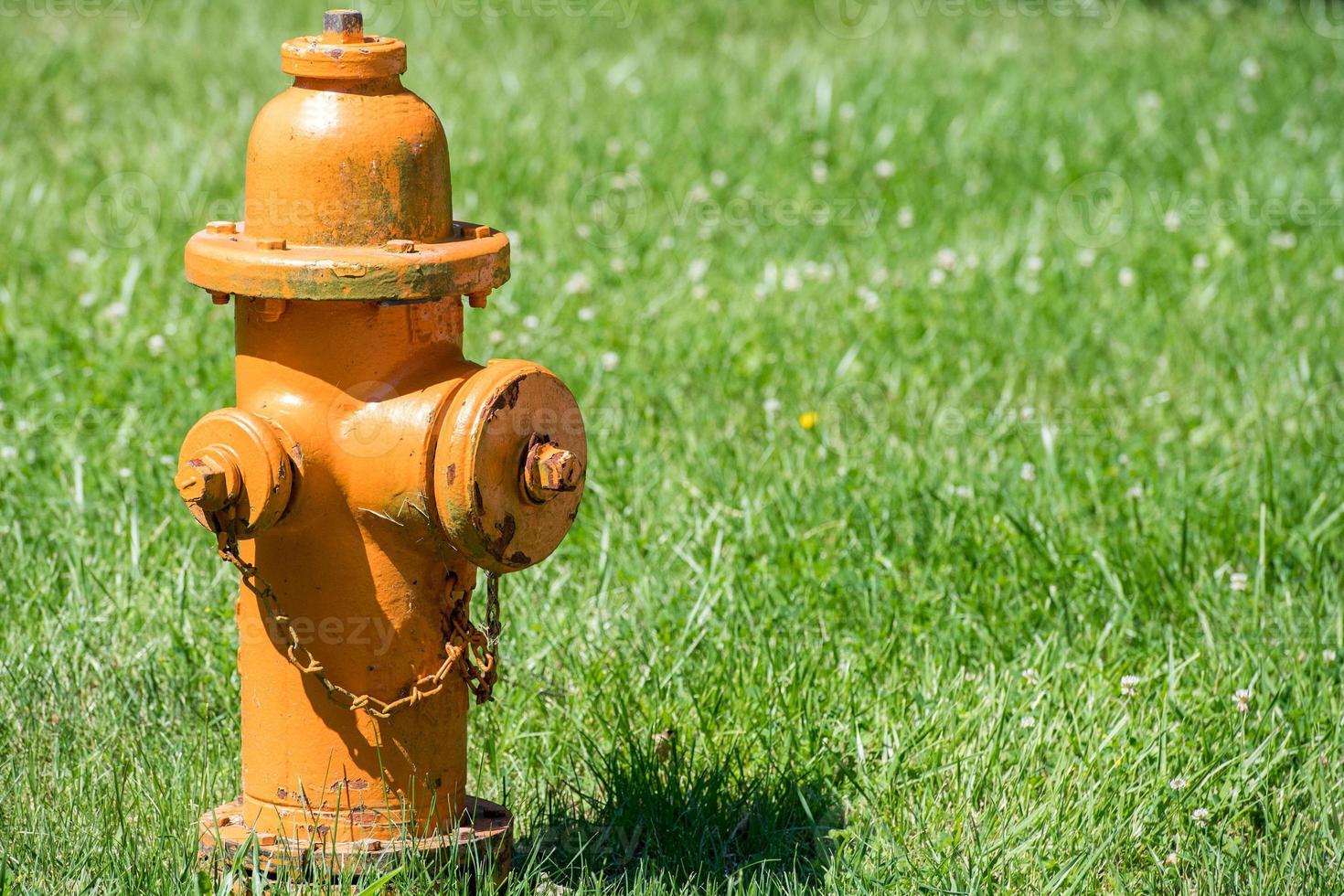 yellow hydrant isolated on grass background photo