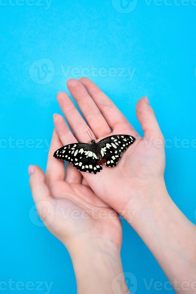 Close-up of a blue butterfly on a young girl's shoulder on a dark background. The concept fragility of nature photo