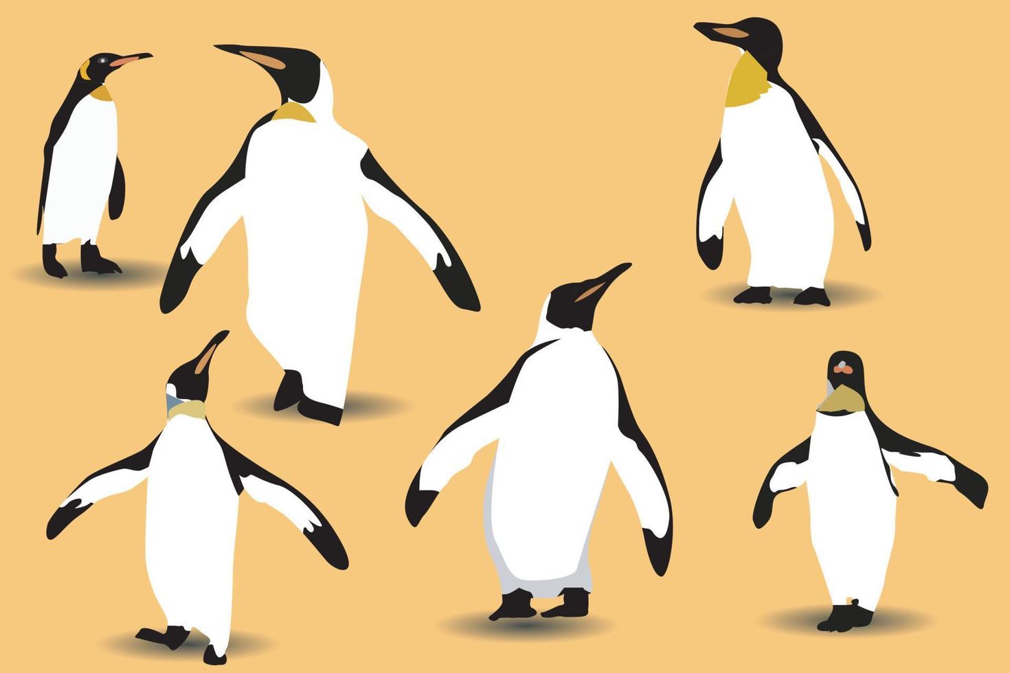 vector flat illustration set of penguins in different poses. Adult birds and chicks. Vector illustration, isolated on a white background.