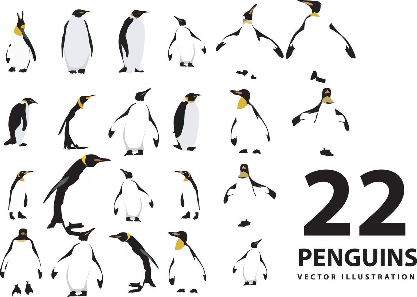 vector flat illustration set of penguins in different poses. Adult birds and chicks. Vector illustration, isolated on a white background.