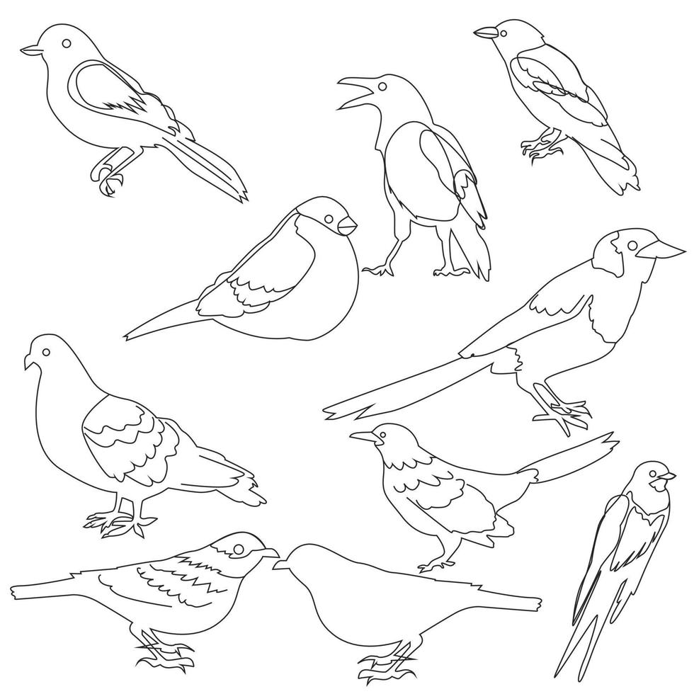 conjunto vectorial de silueta de pájaro en estilo plano varios estilos y formas se posan en una rama, vector de pájaro plano aislado en fondo blanco