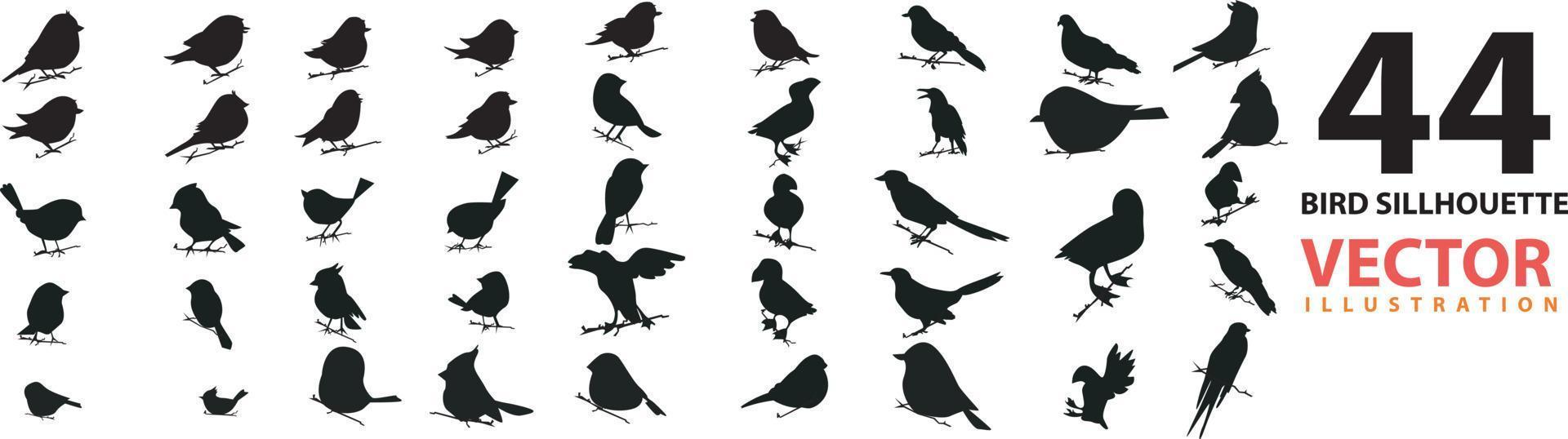 conjunto vectorial de silueta de pájaro en estilo plano varios estilos y formas se posan en una rama, vector de pájaro plano aislado en fondo blanco