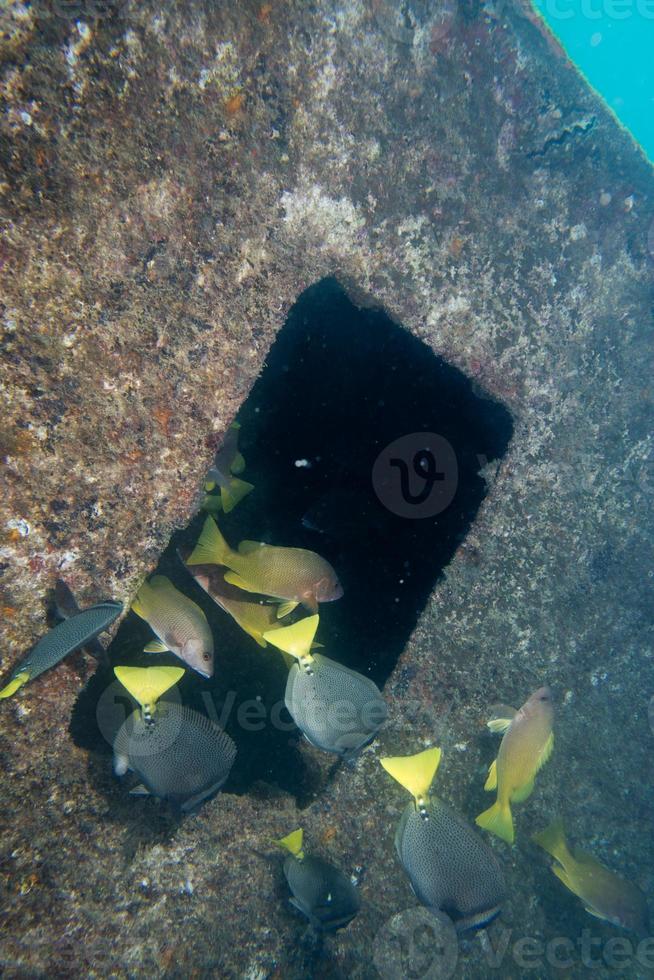 Ship Wreck in the sea photo