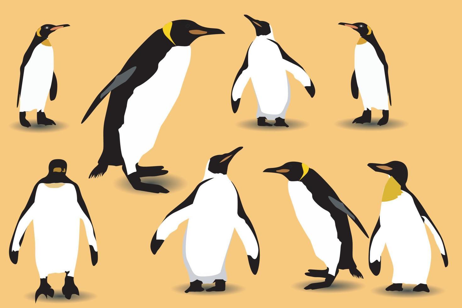 vector flat illustration set of penguins in different poses. Adult birds and chicks. Vector illustration, isolated on a white background.