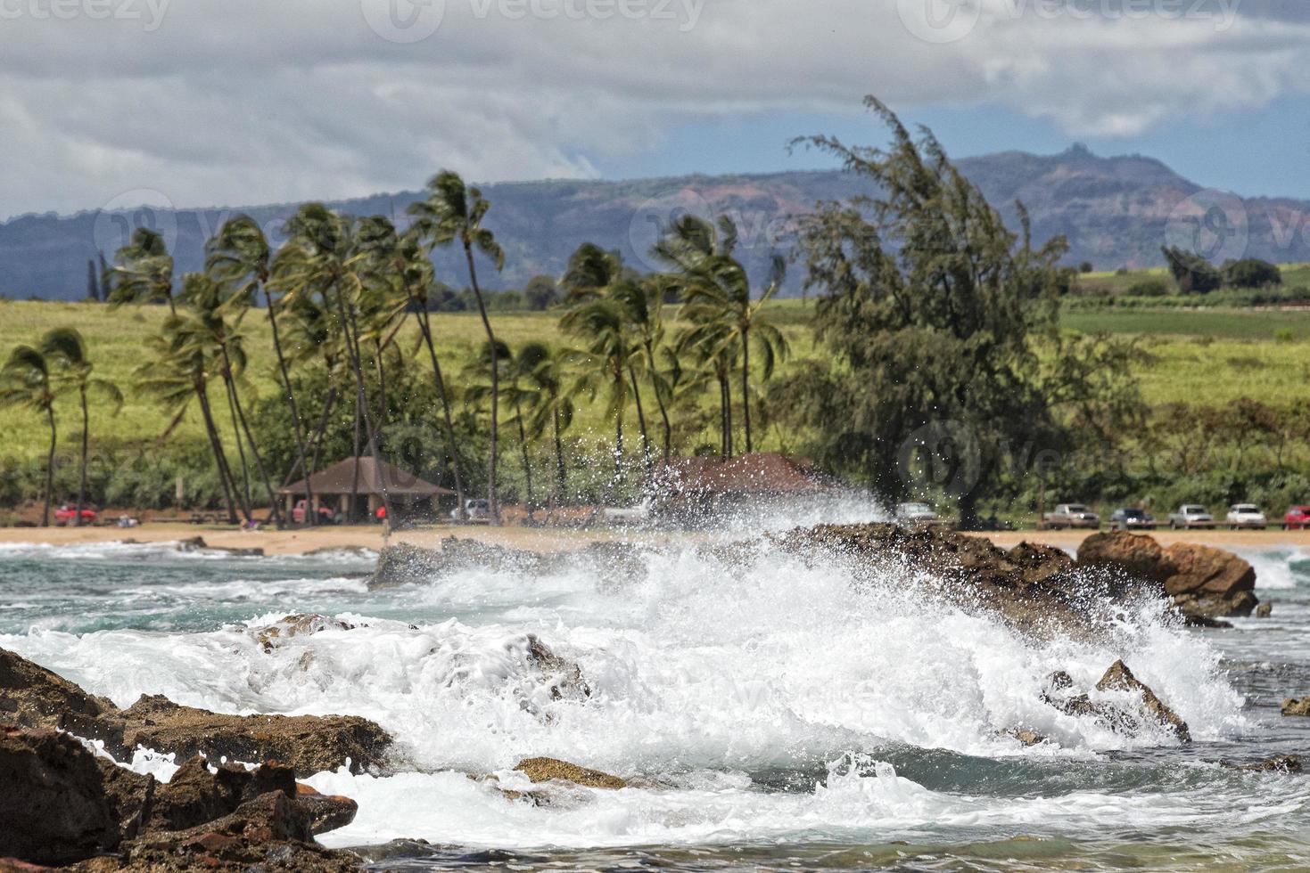 pacific ocean waves on the shore photo