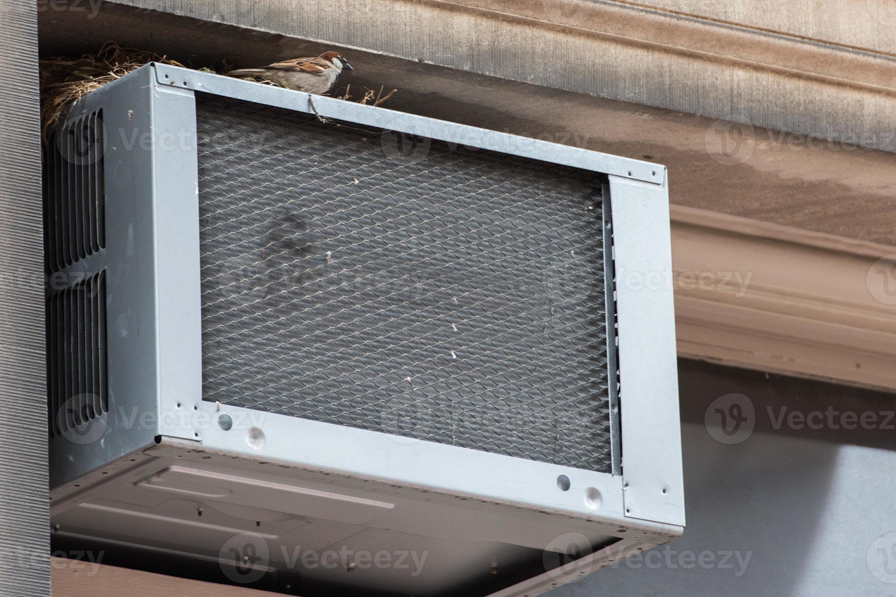bird building a nest on air conditioner 18752058 Stock Photo at Vecteezy