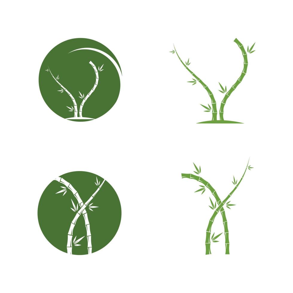 Bamboo with green leaf for your logo icon vector