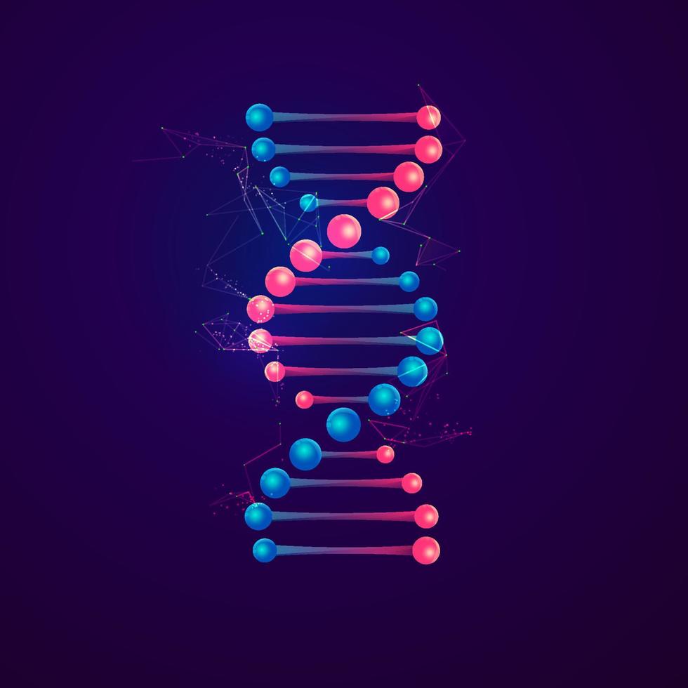 vivid broken DNA vector