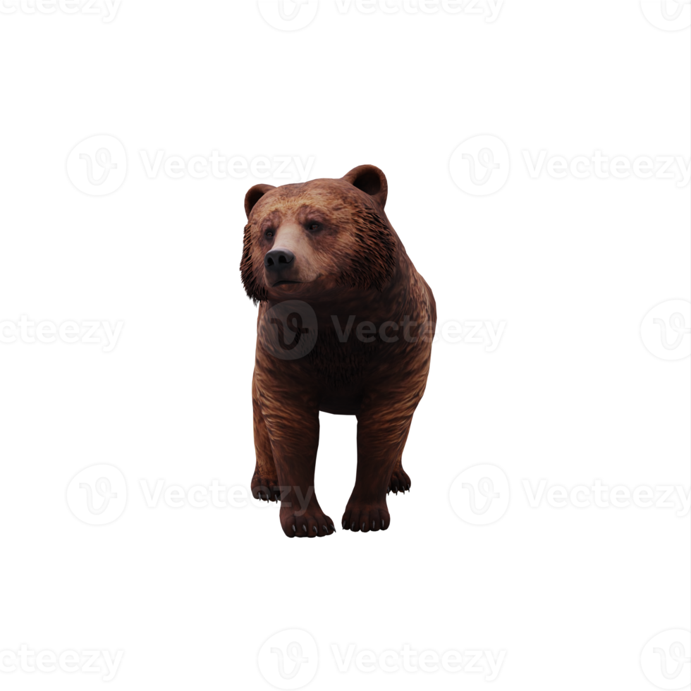 3d Bear isolated png