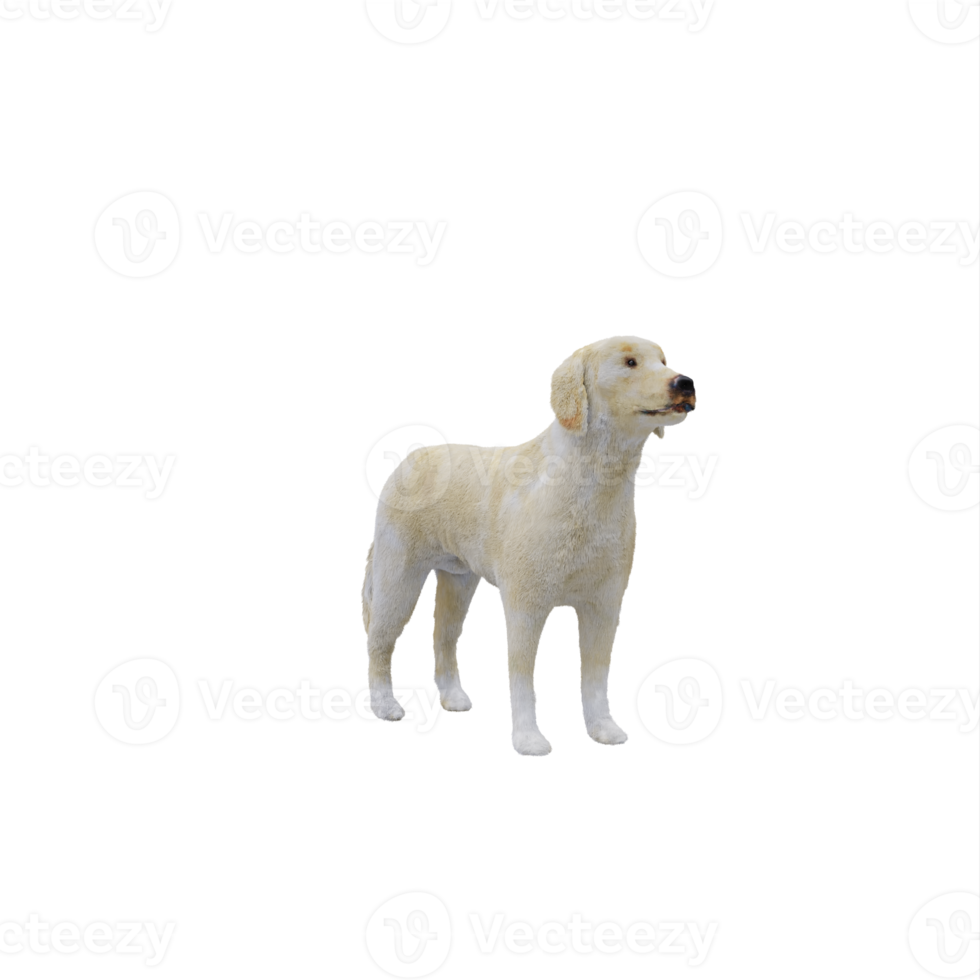 perro labrador 3d aislado png