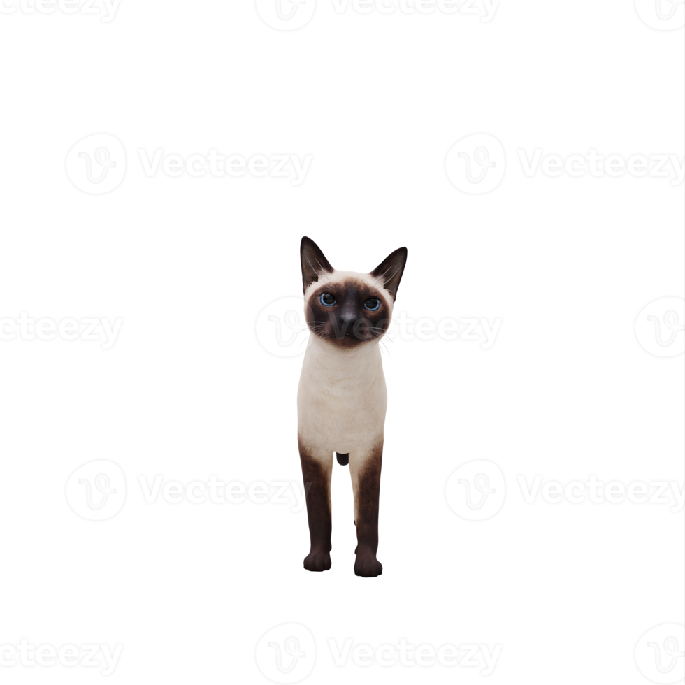 3d Siamese Cat isolated png