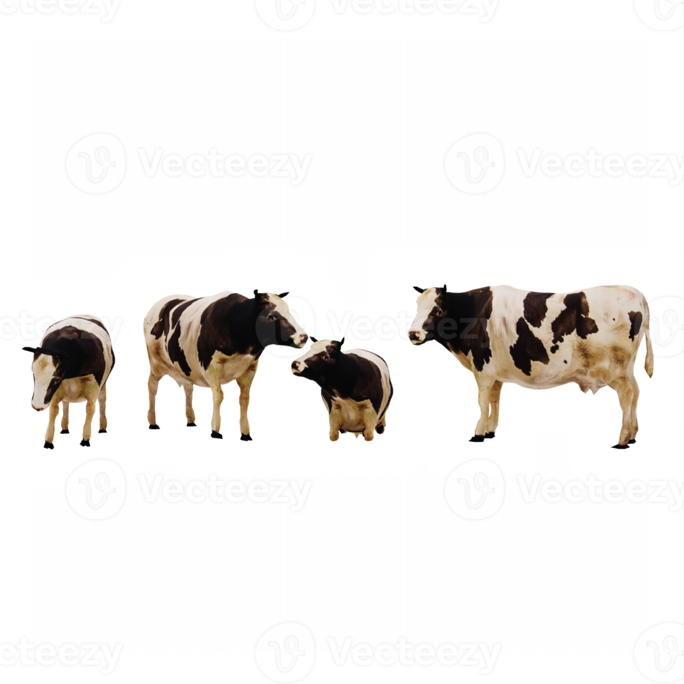 3d cows isolated png