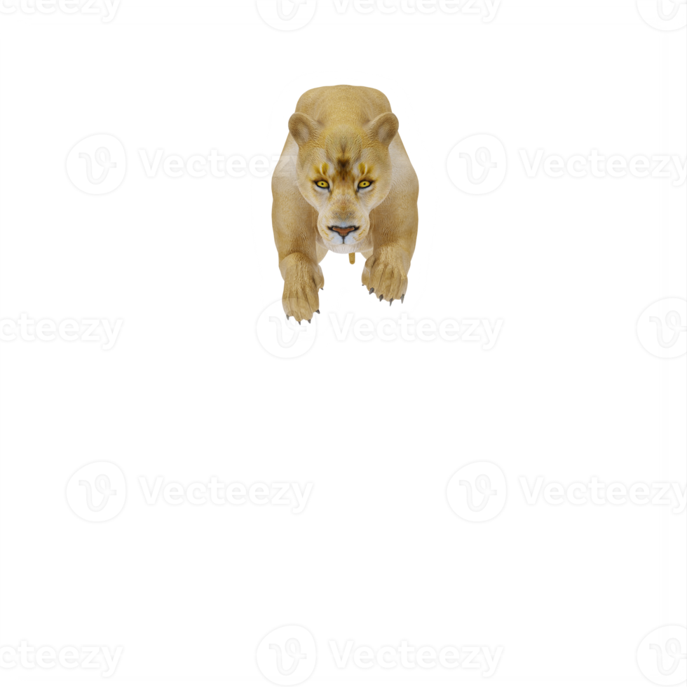 3d Lioness isolated png