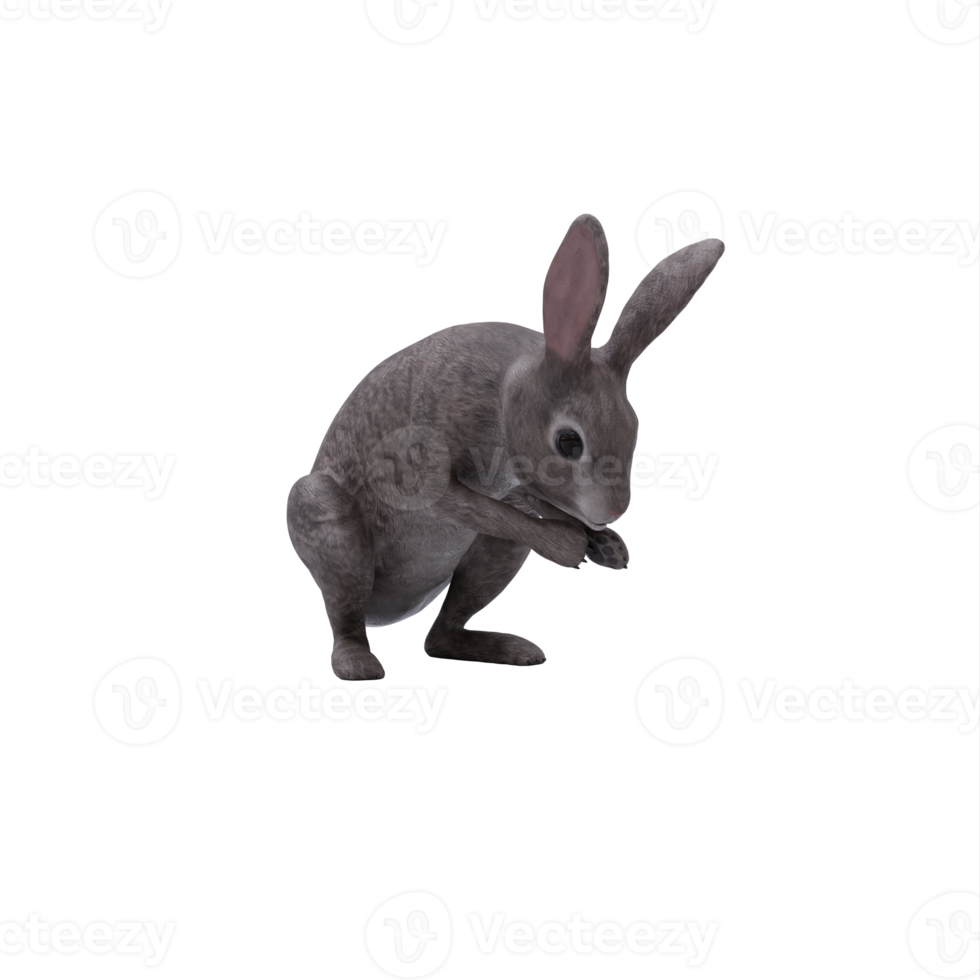 lapin sauvage 3d isolé png