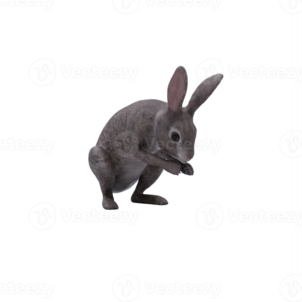 3d wild rabbit isolated png