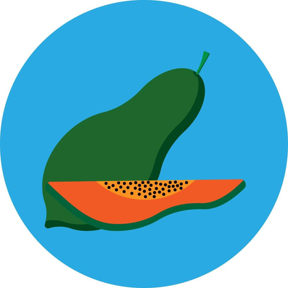 Papaya Fruit Flat Icon vector