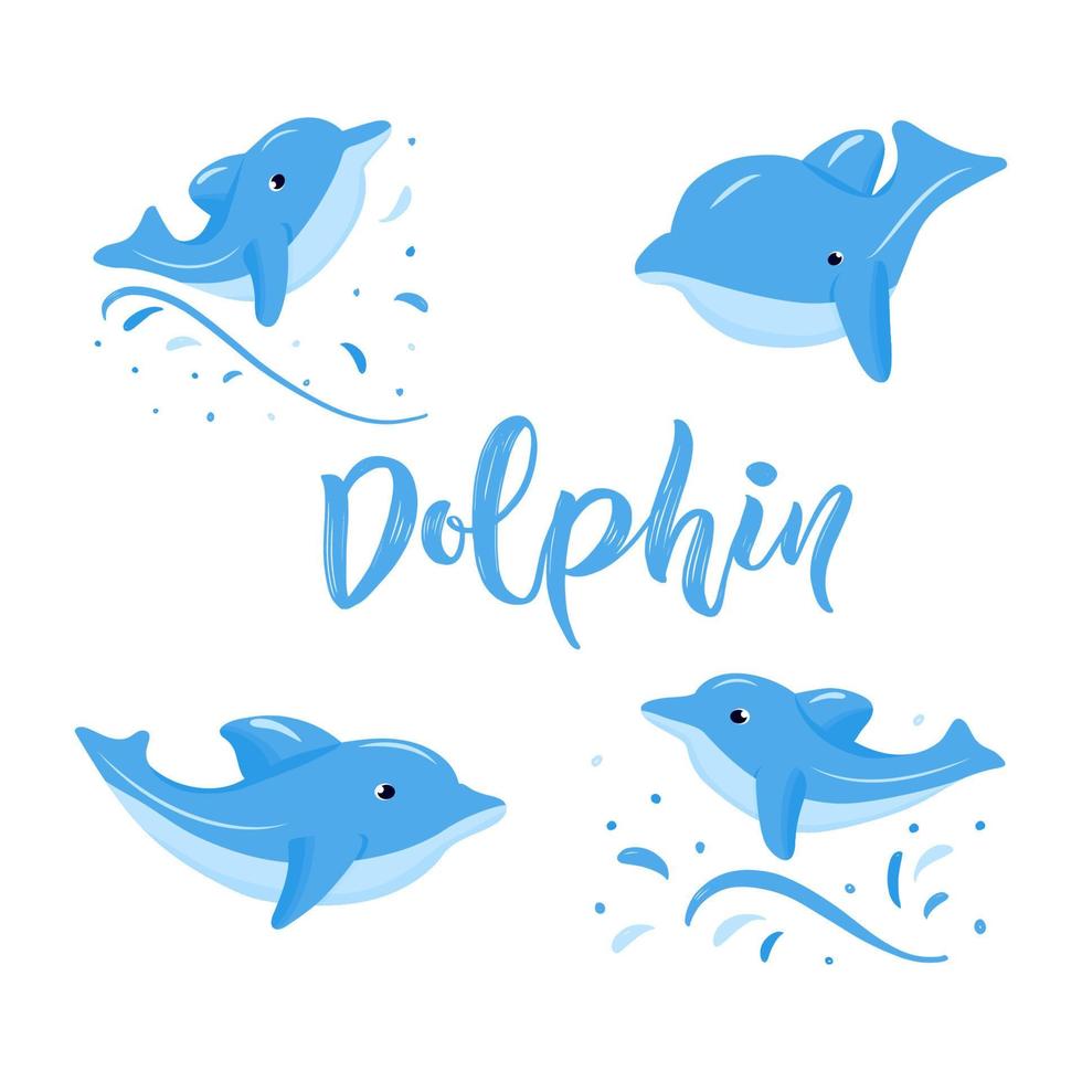 Set of four dolphins jumping with water splash. Hand texture lettering. Vector illustration. As logo for kids shop, toy store, print, image for children book. Aquatic animal. Wildlife. Sea, ocean life