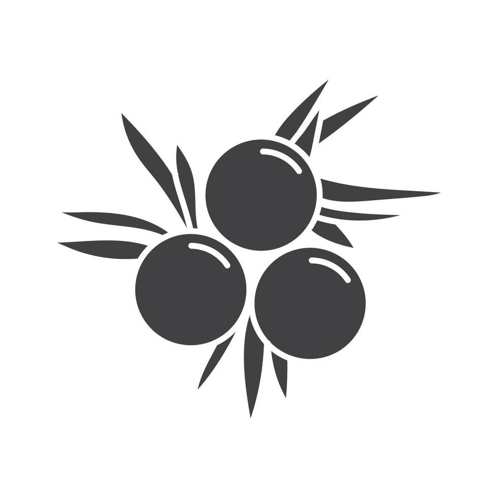 Juniper Berries icon flat design vector illustration.