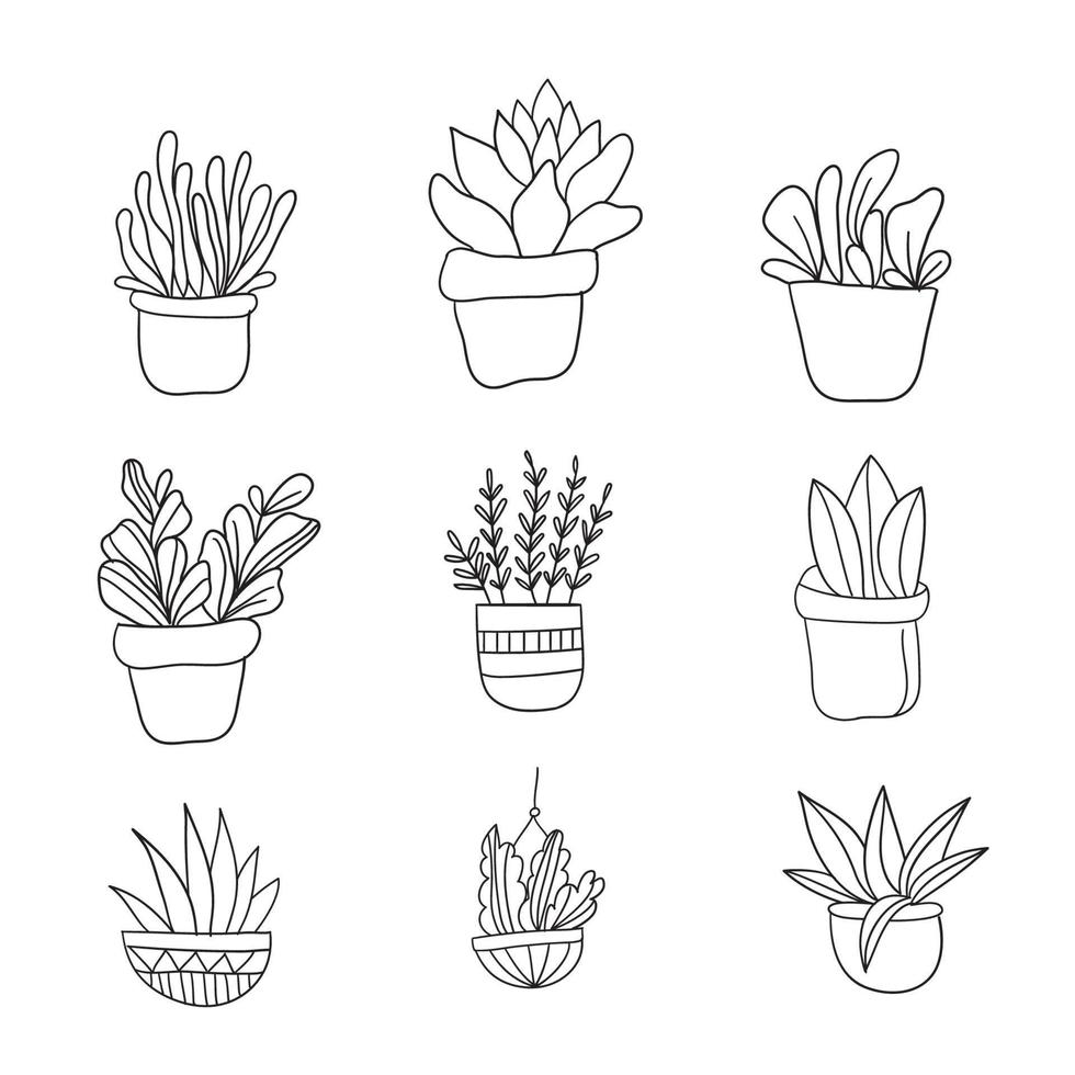 Plants in pots line art vector