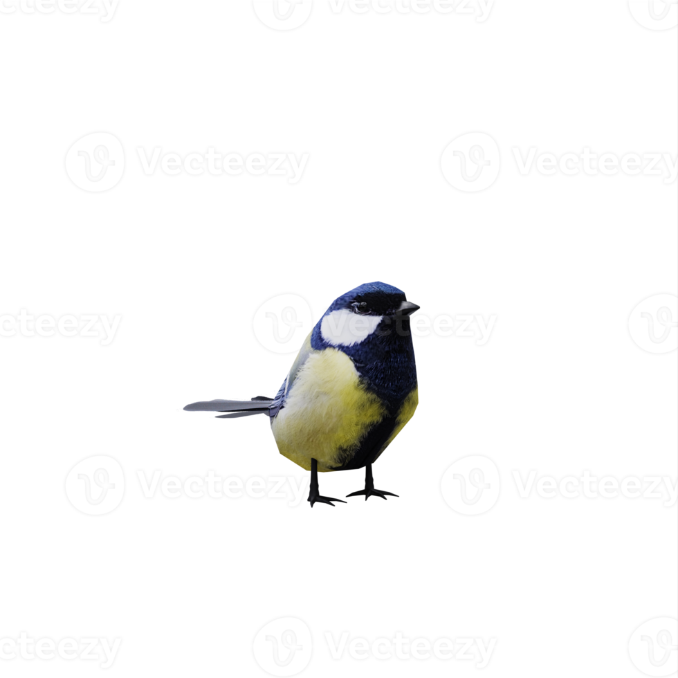 3d Great tit bird isolated png