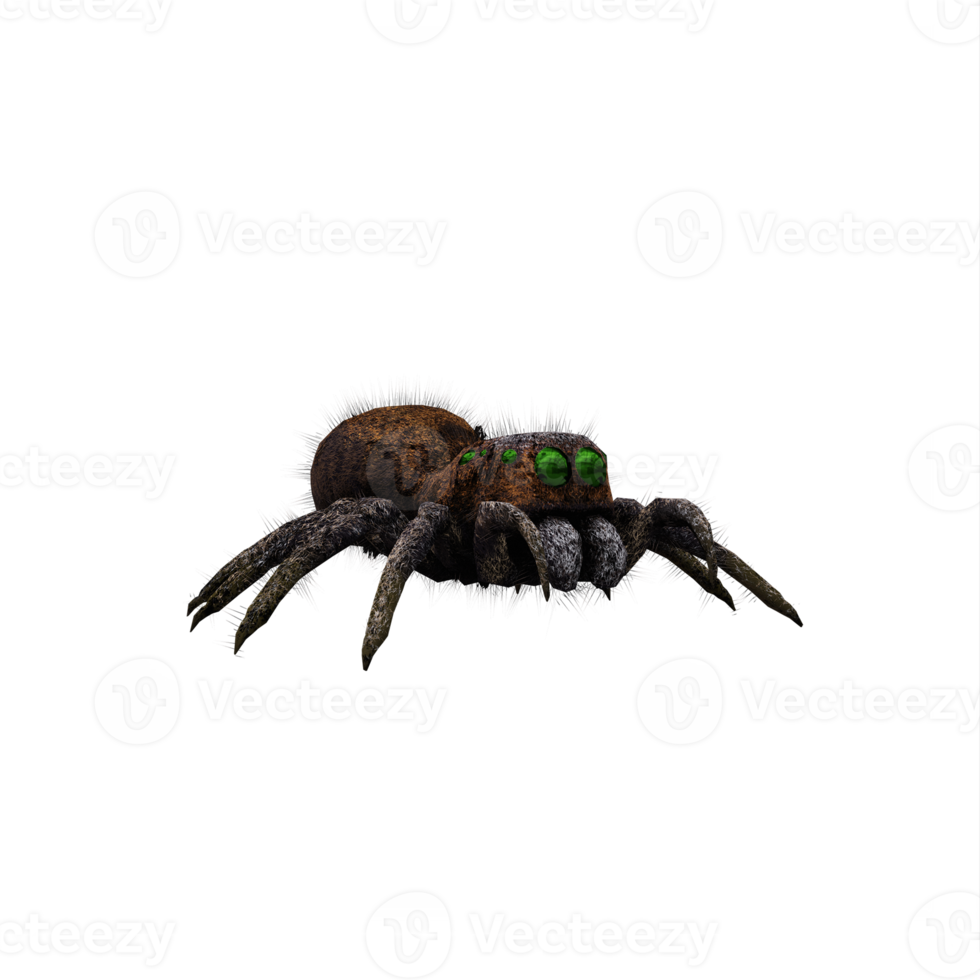 3d jumping spider isolated png